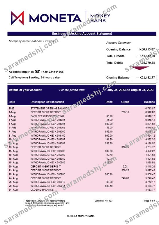 Moneta Money Bank firm account statement Word and PDF template